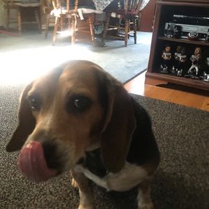 Meet your Posher, Eva